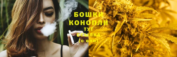 спайс Алексин