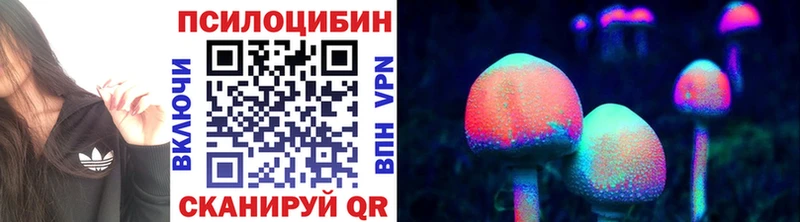 даркнет сайт  mega вход  Галлюциногенные грибы мухоморы  Гаврилов Посад 